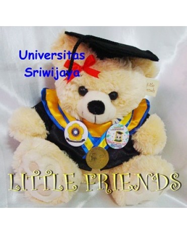 Boneka Wisuda Universitas Sriwijaya - Pendidikan Biologi (30 cm)